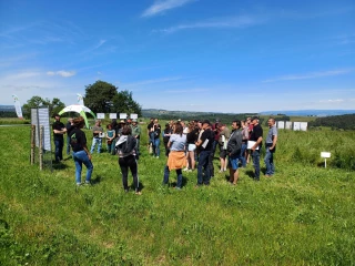 Les toutes dernières références en matière de prairies