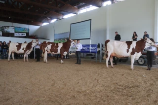 Les championnes sont…