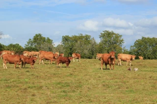 Des coûts de production toujours en légère augmentation