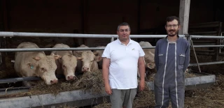 Une prestation individuelle pour améliorer la productivité des troupeaux allaitants