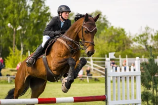 « Le cheval, quand on y est accro, c’est pour longtemps »