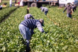 L’emploi agricole augmente en 2022