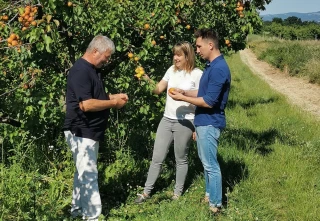 À Font les fruits 