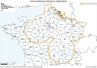 FCO-3 : la Loire désormais en zone régulée
