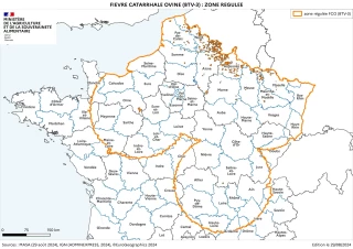 FCO-3 : la Loire désormais en zone régulée
