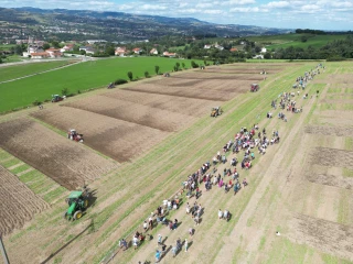 Loire : Revivez la finale départementale du concours de labour