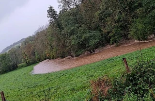 Inondations dans la Loire : « Accéder aux prés est inimaginable » 