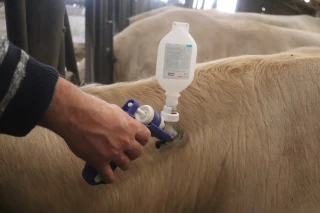 Surmonter les crises sanitaires