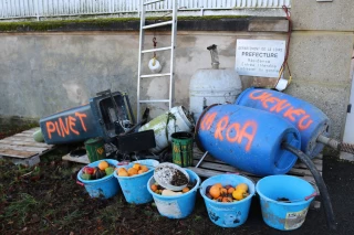 « Non à l’élevage de sangliers » : les agriculteurs stéphanois perdent patience