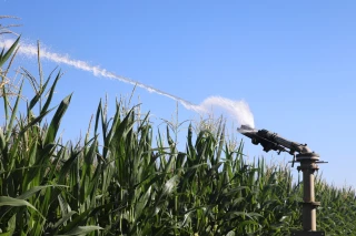 Redonner une pleine compétitivité aux exploitations agricoles