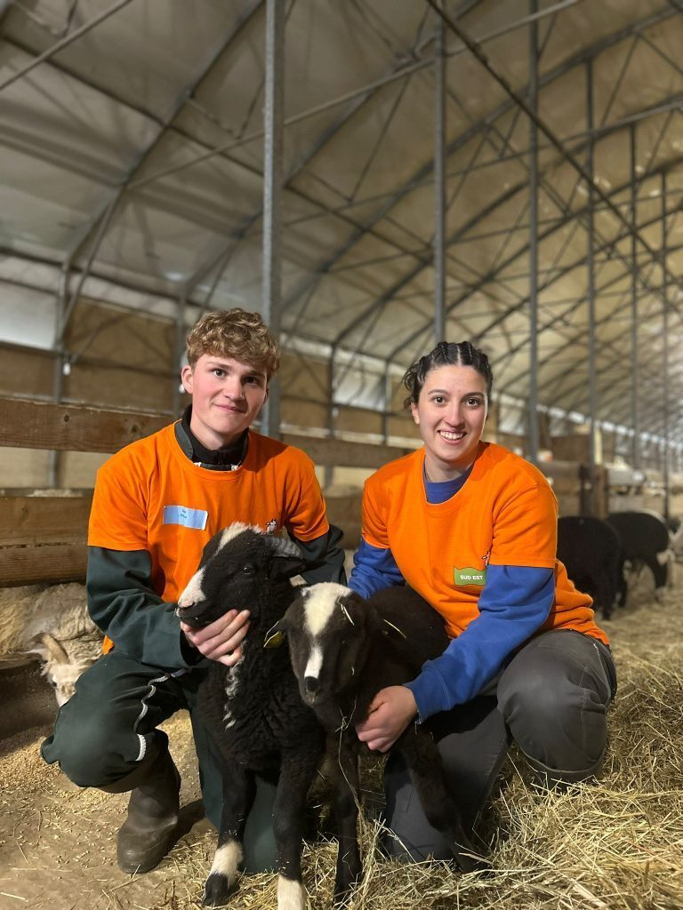 Ovinpiades : un Ligérien sélectionné pour la finale