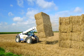 Comment les comités agricoles de la Loire favorisent l’entraide entre exploitants ?