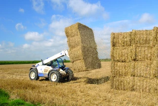 Comment les comités agricoles de la Loire favorisent l’entraide entre exploitants ?