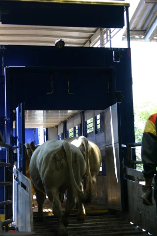 DNC : La Loire reprend progressivement les exports vers l'Italie