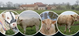 Journée commerciale le vendredi 28 février