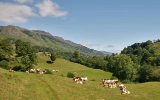 Protéger les territoires montagneux