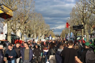 Dans les coulisses de la foire-exposition du comice de Feurs 