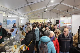 A voir et à faire dans le centre-ville de Feurs 