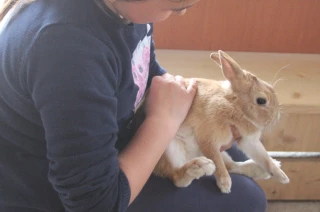 A la découverte des petits animaux