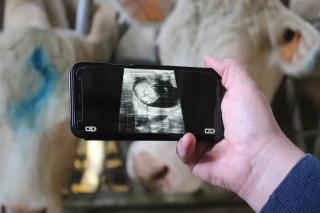 Coopel : entre réalité du terrain et refus de la fusion