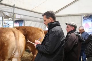 Comice de Feurs : le concours limousin, une réussite au-delà des espérances