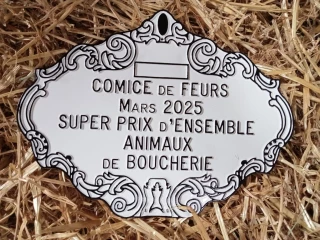 Retrouvez le palmarès des bovins charolais et croisés