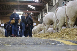 Découvrez le palmarès des concours