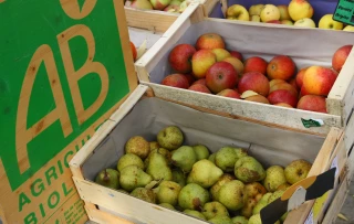 Agribio : réorganisation et enjeux de l'agriculture biologique dans la Loire