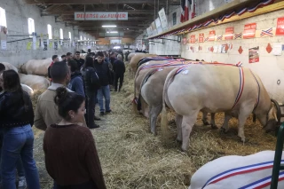 Comice 2025 : professionnel et populaire