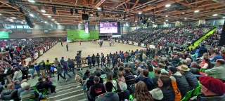 Vaches en piste frise les 50 000 visiteurs