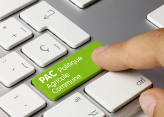 Télédéclaration Pac : comment s’y prendre ?
