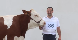 « Jamais je n’aurai imaginé être un jour président de la Fête du lait »