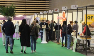 Labels saveurs, un premier cep planté avec soin pour un terroir d’avenir