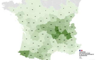 Déclarez vos pertes liées à la FCO-8 avant le 30 juin