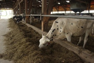 Les conseils pour adapter les bâtiments aux fortes températures