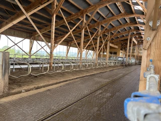 La stabulation du bonheur