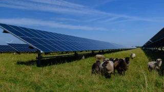 Agrivoltaïsme : la Loire fixe ses règles pour protéger l’agriculture