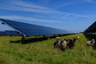Agrivoltaïsme : la Loire fixe ses règles pour protéger l’agriculture