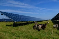 Agrivoltaïsme : la Loire fixe ses règles pour protéger l’agriculture