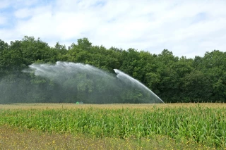 Le point sur la situation agricole dans la Loire en ce début d’été 