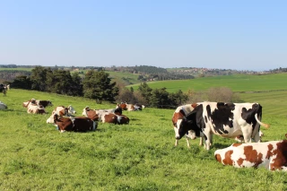 Les producteurs de lait claquent la porte de l'interprofession