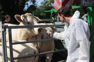 La vaccination obligatoire et gratuite s’organise collectivement