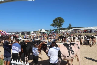 Fête du Lait 2025 : une équipe mobilisée pour valoriser l’agriculture d’un territoire