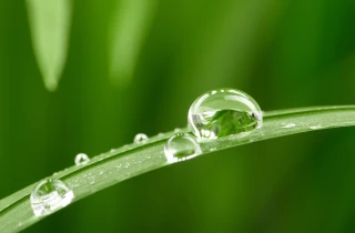 L’évapotranspiration supérieure à la normale