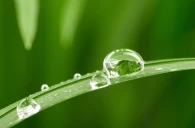 L’évapotranspiration supérieure à la normale