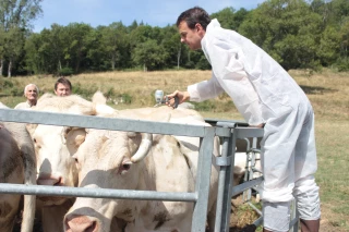 L’épidémie de DNC est en passe d’être maitrisée
