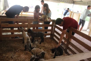 Fête du Lait 2025 : un week-end festif avec animaux, terroir et activités pour petits et grands