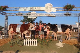 Les animaux au cœur de la fête