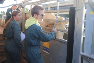 Enseignement agricole : des jeunes bien dans leurs bottes