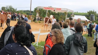 Fête du lait : une vitrine vivante de l’agriculture